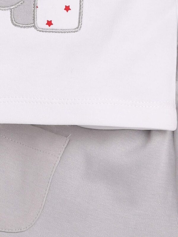 100% Pure Cotton T-shirt and Shorts Set for Baby Boys