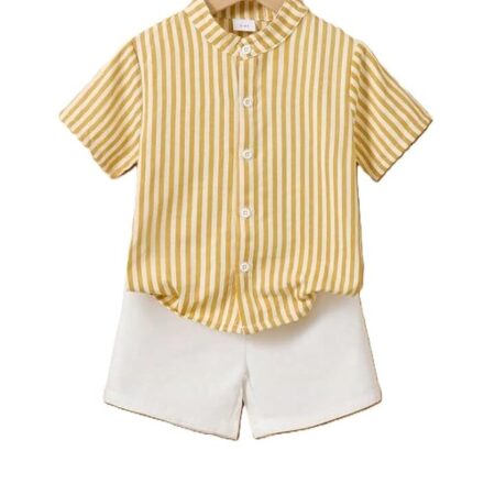 Baby Boy Summer Clothing Set Toddler Button Down Printed Shirts with Shorts Short Sleeve Top Shorts Outfit Fancy Co-ords Set Kid's