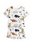 Boys Printed Cotton Blend Casual wear Comfortable Cap Sleeve Co-ord Set