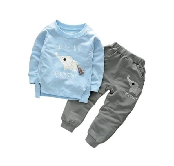 Be Bold Inside & Elegant Outside Baby's Cotton Tshirt Pant Set