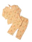 KIDS WEAR Girls Night Suit | Cotton Printed Full Sleeve Night Suit, Sleepwear for Girl, Loungewear T-Shirt & Pyjama Set, Sleepsuit for Girl, Nightdress for Girls