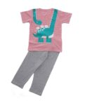 Kids Print Half Sleeves All Day and Night Wear Dress Night Suit T-Shirt & Shorts for Girls