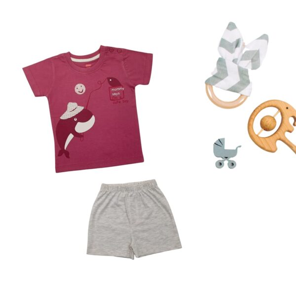 Baby Boys & Girls Regular Fit 100% Cotton Half Sleeve & Shorts Set Pack of 3